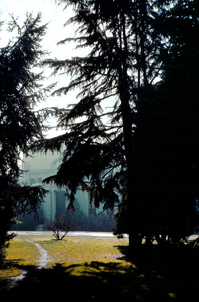 Sunday_Morning_LSB