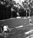 Tilden
