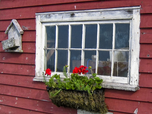 Flower box, Oakland, NS