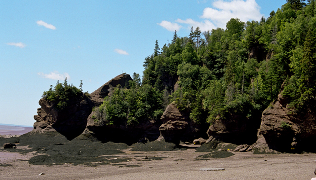 Hoodoos @ Hopewell Rocks, NB