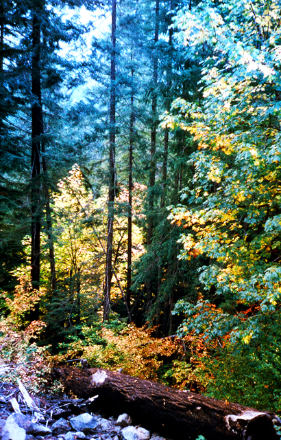 16-Fall-Color