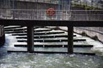 26_new_DSC_0110