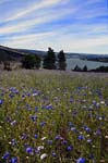 46_new_DSC_0148