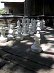 IMG_1936