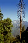 Moro Rock