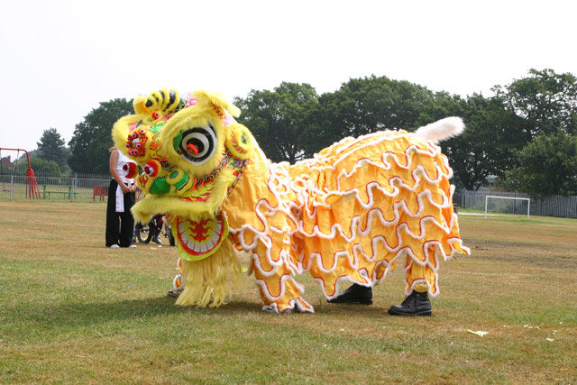 Dragon Lion