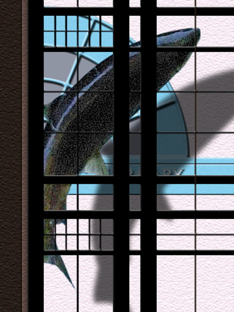 Library Salmon