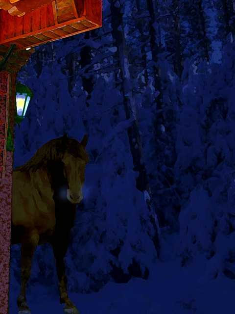 Horse in Snow