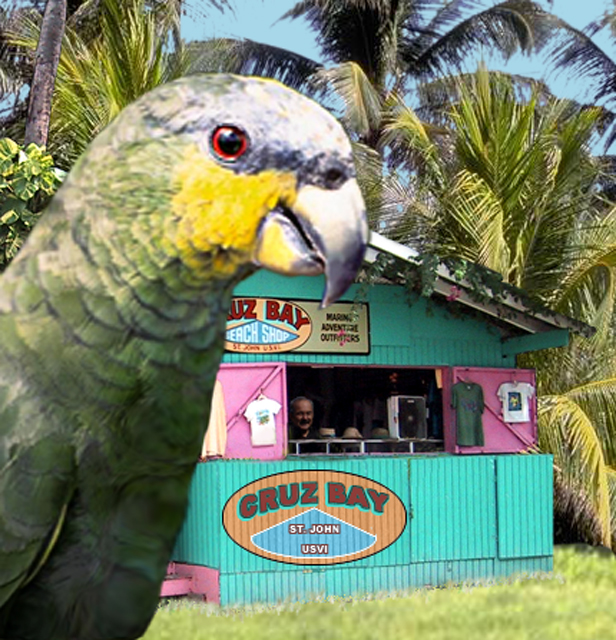 Parrothead