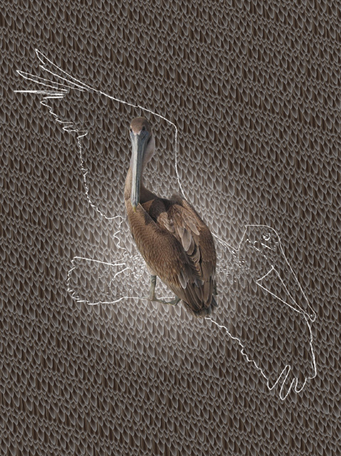 Feather Background