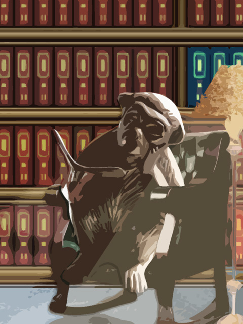 Monkey library