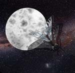 Moon & Chrome Butterfly
